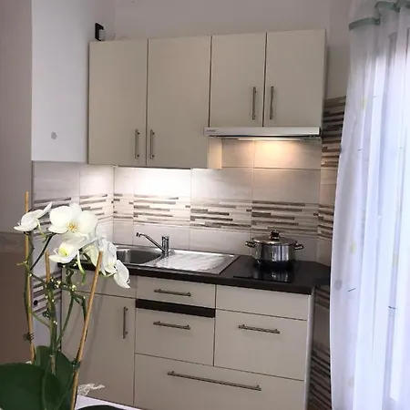 Baranyai Vendeghaz Apartment Buk